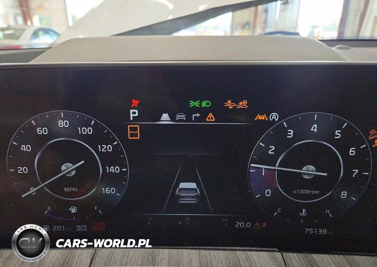 2023 Kia Telluride Sx VIN:5XYP5DGC6PG372177 - 9
