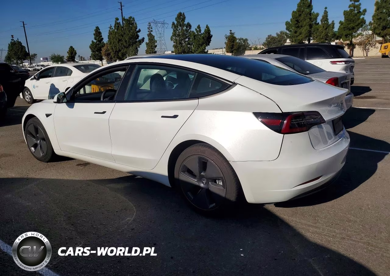 2023 Tesla Model 3 VIN:5YJ3E1EA8PF502983 - 2