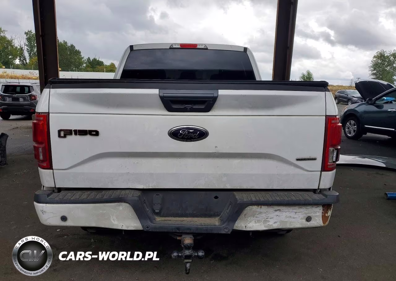 2016 Ford F150 Supercrew VIN:1FTEW1EF8GFB57130 - 6
