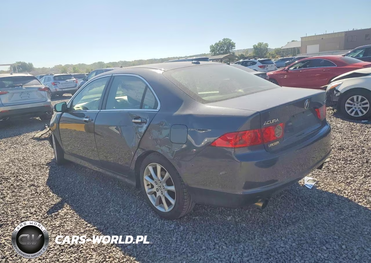 2006 Acura Tsx VIN:JH4CL96826C008094 - 2