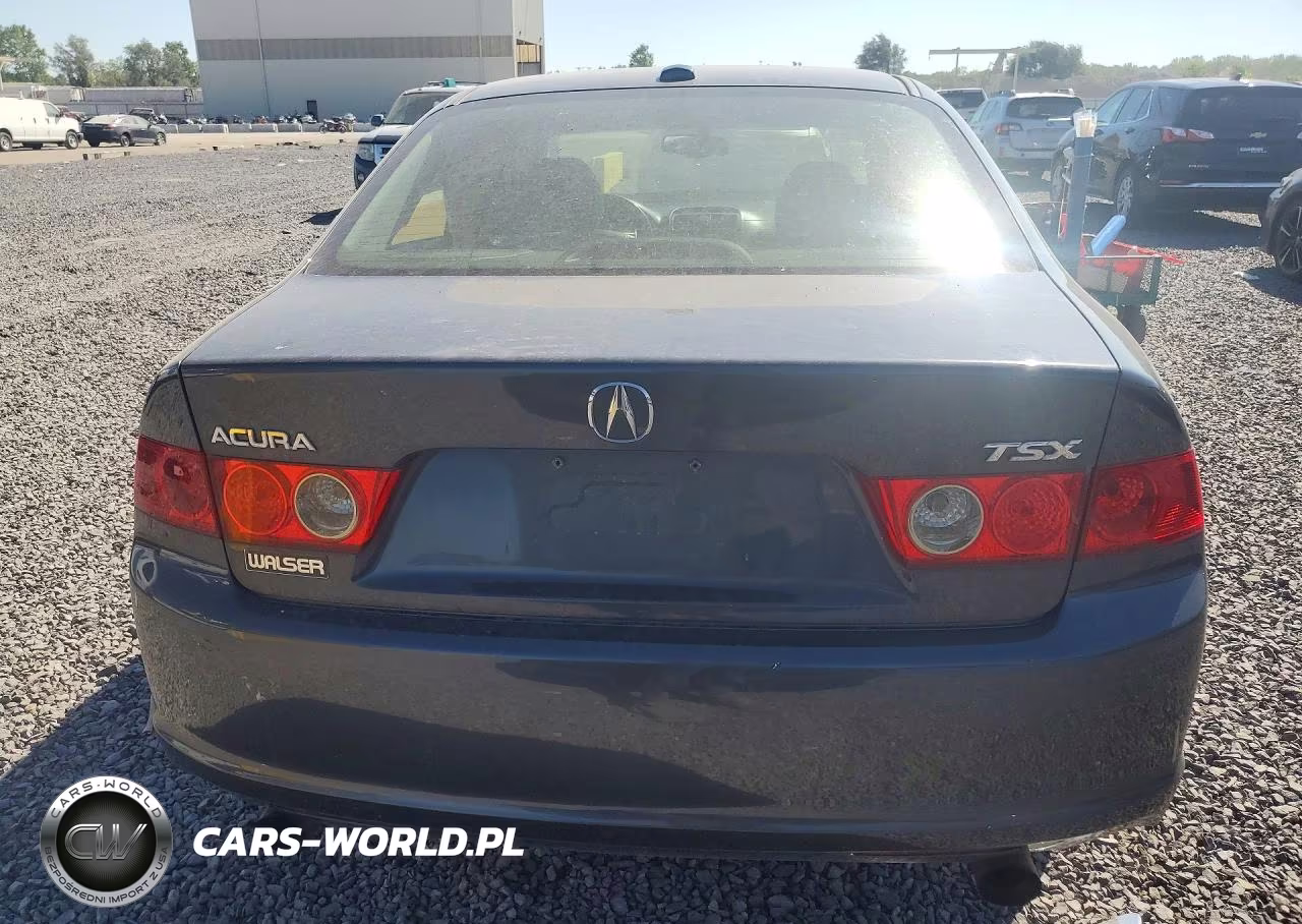 2006 Acura Tsx VIN:JH4CL96826C008094 - 6