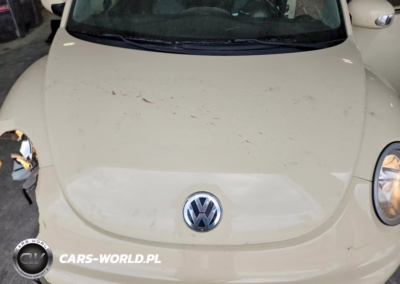 2003 Volkswagen New Beetle Gls VIN:3VWCD21Y23M333428 - 11