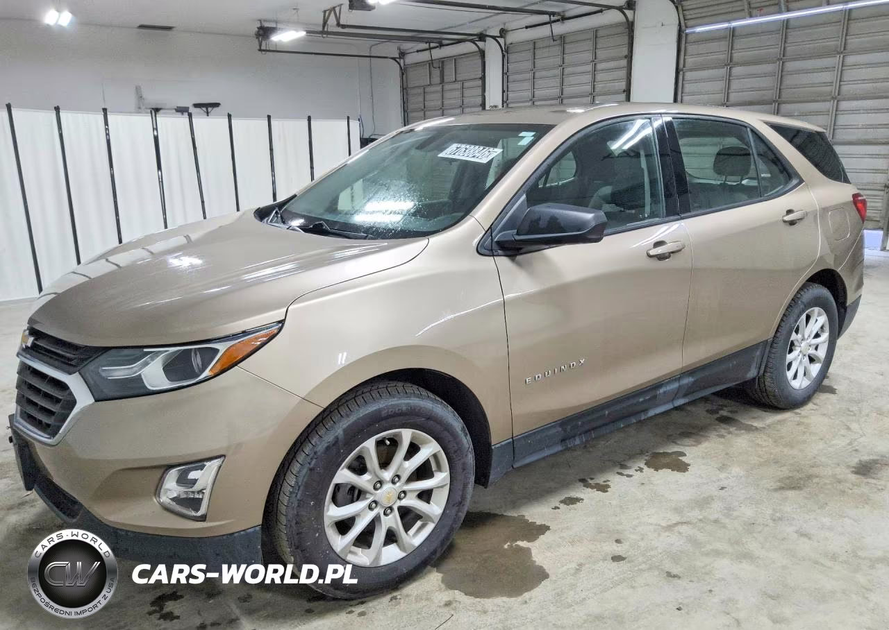 2019 Chevrolet Equinox Ls – zdjęcie 1 z 14