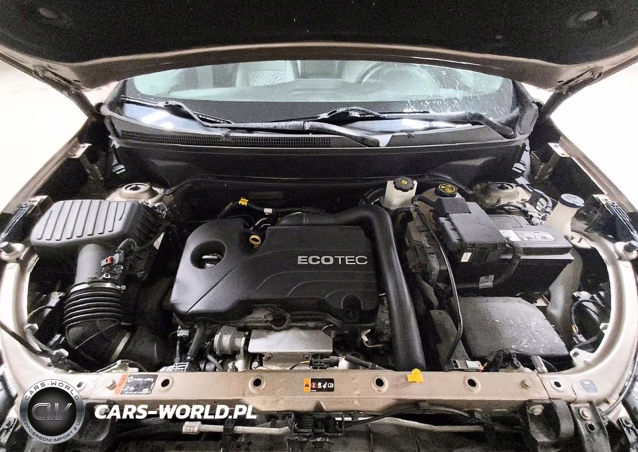2019 Chevrolet Equinox Ls VIN:2GNAXHEV6K6244921 - 12