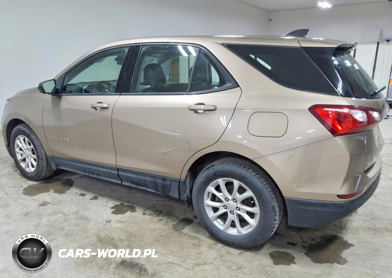 2019 Chevrolet Equinox Ls VIN:2GNAXHEV6K6244921 - 2