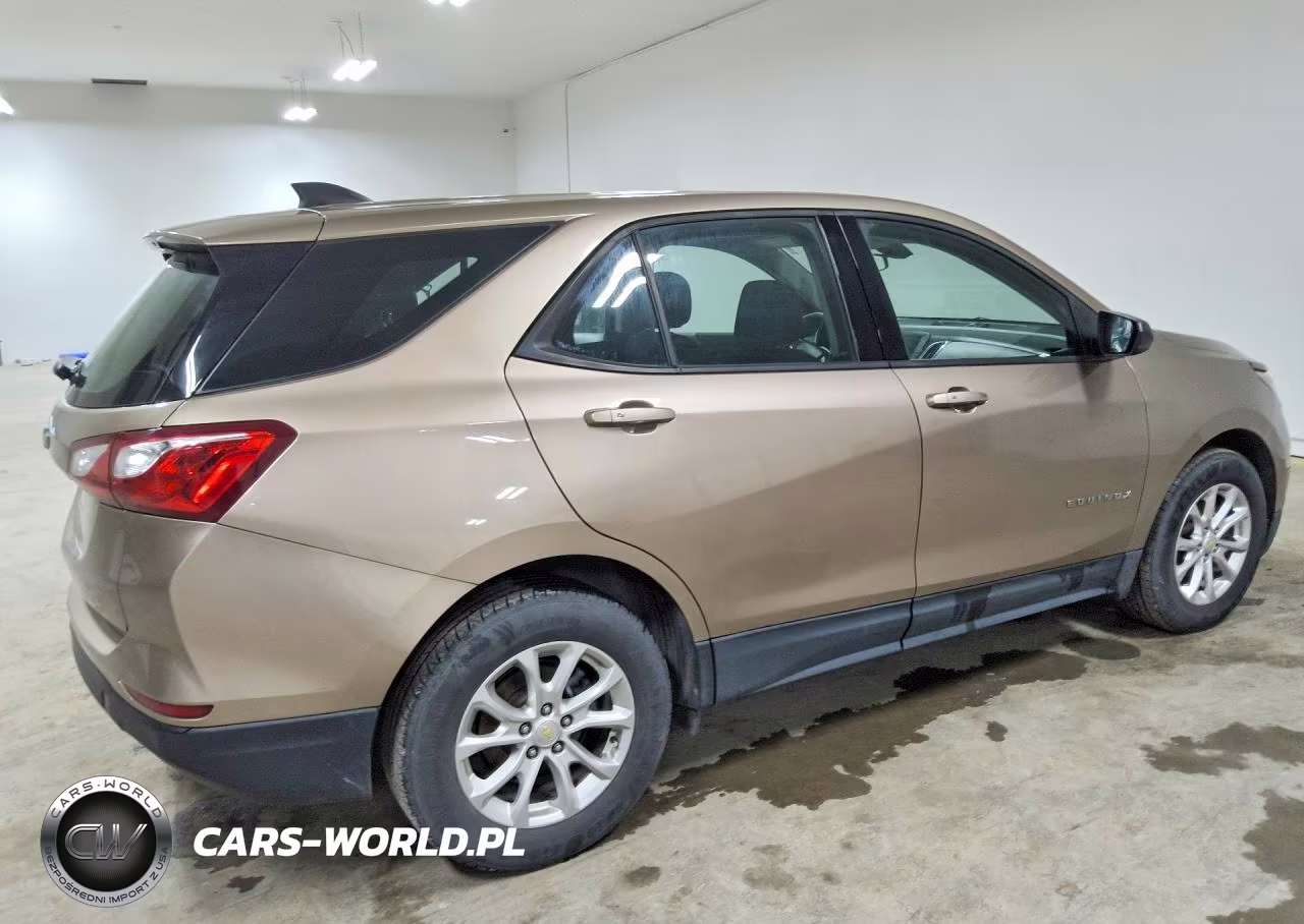 2019 Chevrolet Equinox Ls VIN:2GNAXHEV6K6244921 - 3