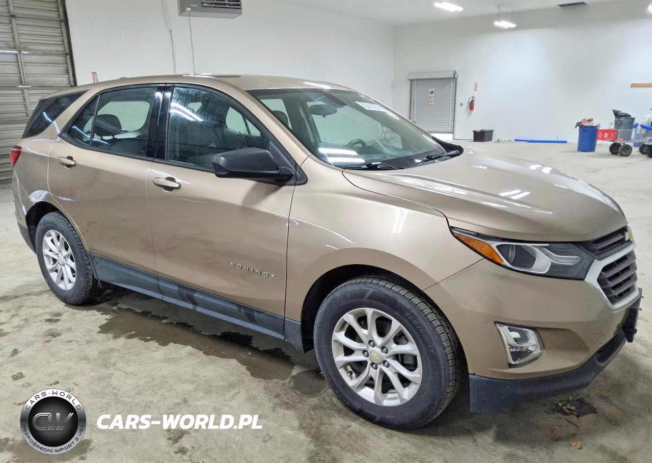2019 Chevrolet Equinox Ls VIN:2GNAXHEV6K6244921 - 4