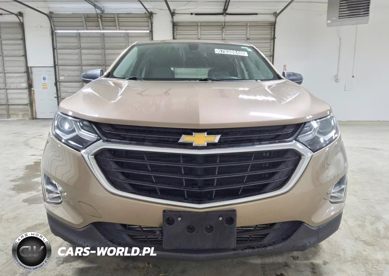 2019 Chevrolet Equinox Ls VIN:2GNAXHEV6K6244921 - 5