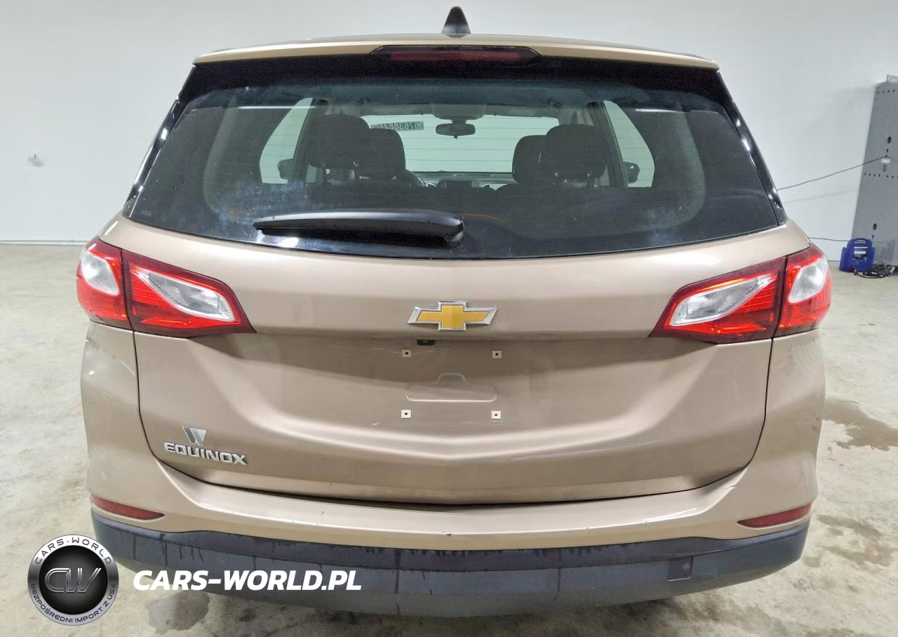 2019 Chevrolet Equinox Ls VIN:2GNAXHEV6K6244921 - 6