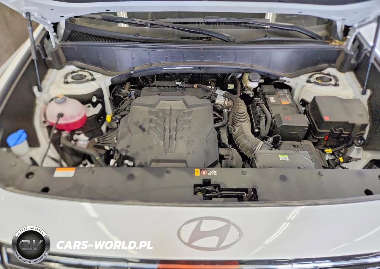 2026 Hyundai Palisade Sel VIN:KM8RLES23TU060213 - 12