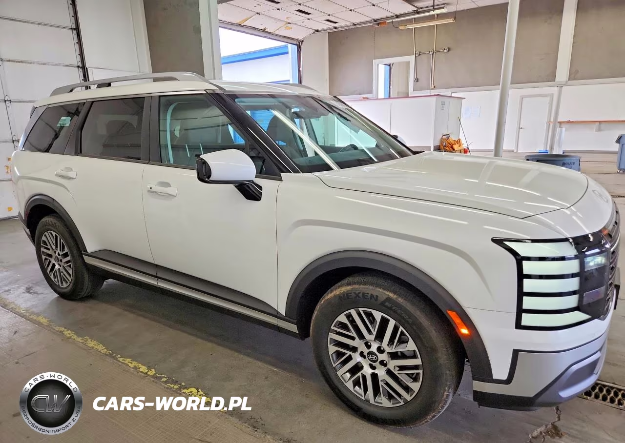 2026 Hyundai Palisade Sel VIN:KM8RLES23TU060213 - 4