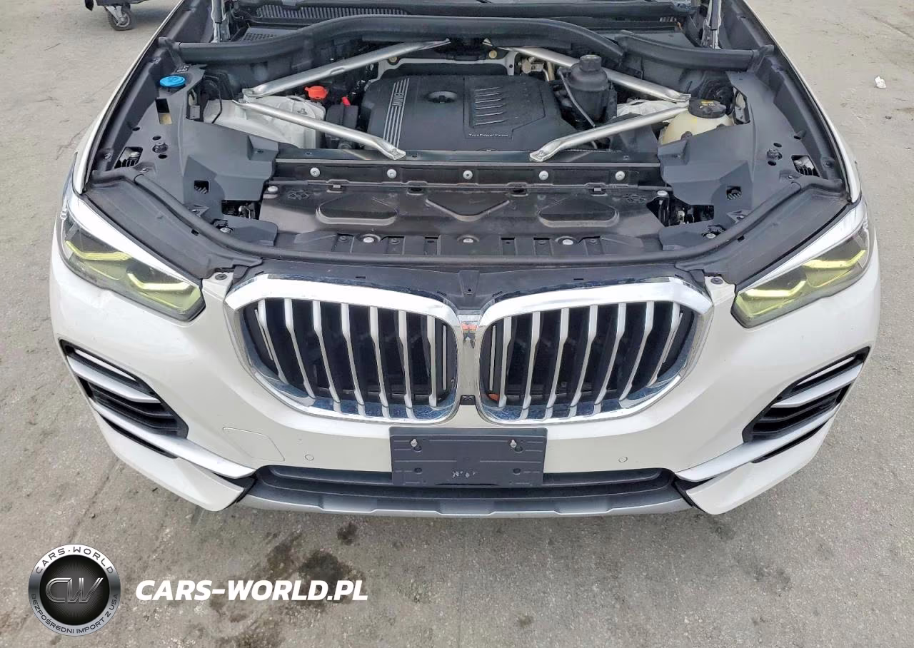 2019 BMW X5 xDrive40I VIN:5UXCR6C51KLL39430 - 12