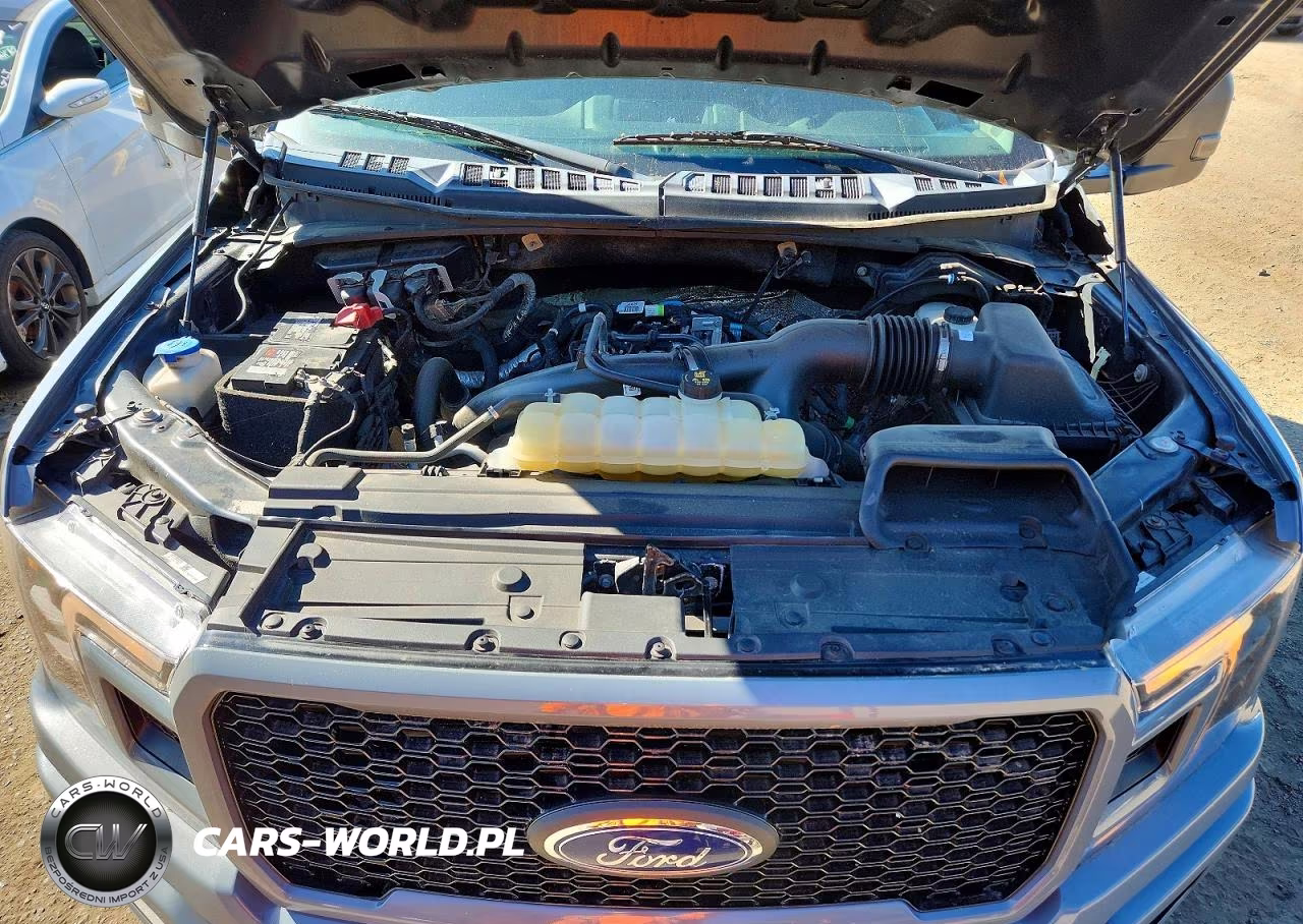 2019 Ford F150 Supercrew VIN:1FTEW1EP6KKE43597 - 11