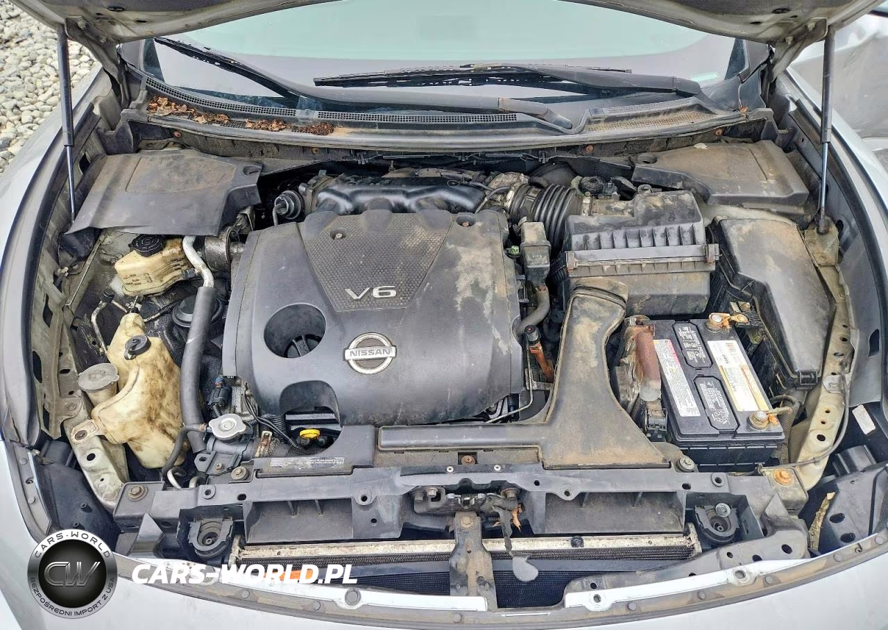 2009 Nissan Maxima 3.5 S VIN:1N4AA51E19C807282 - 11