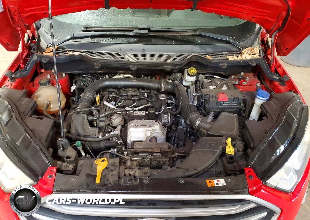 2019 Ford Ecosport Se VIN:MAJ3S2GE2KC257723 - 12