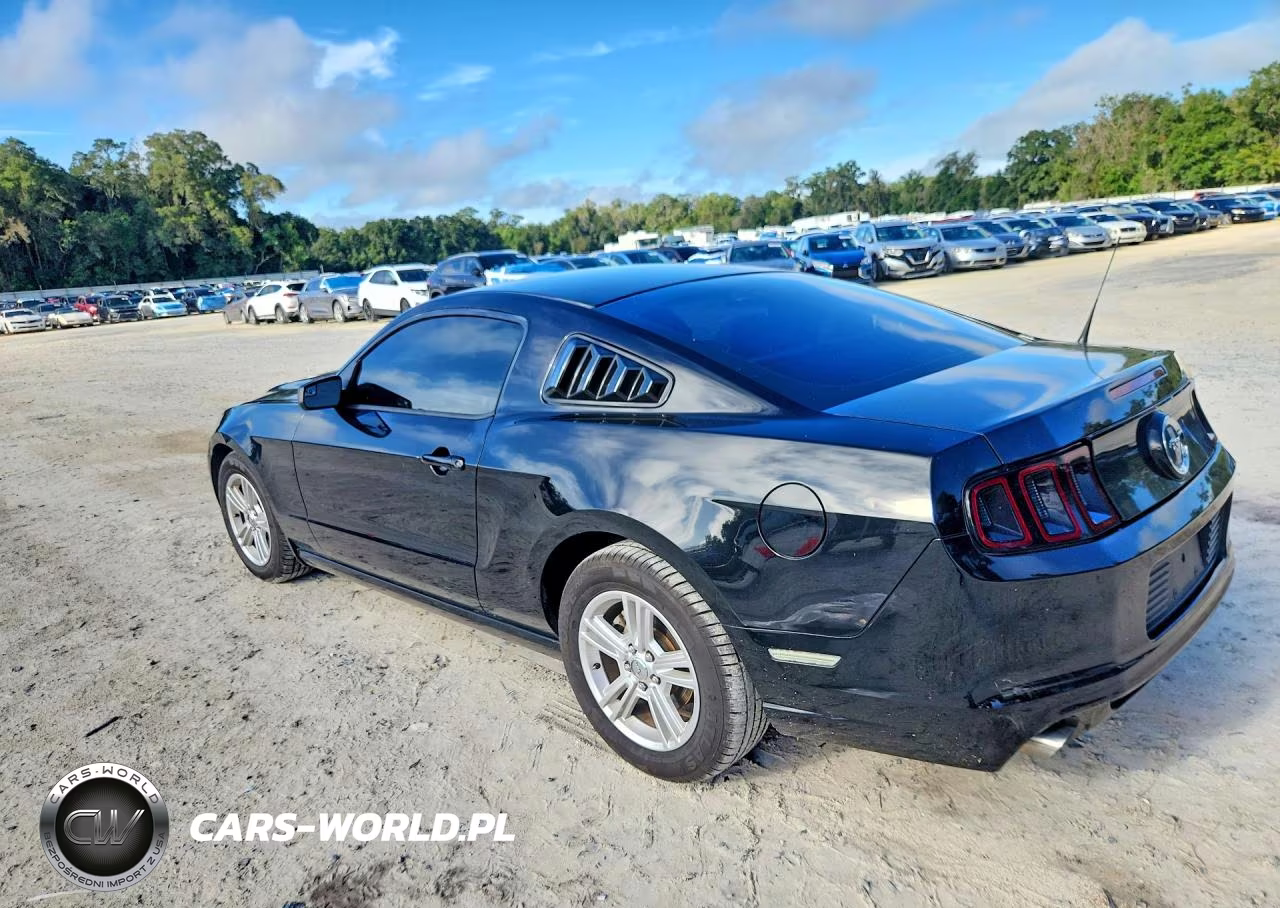 2014 Ford Mustang VIN:1ZVBP8AM0E5333519 - 2