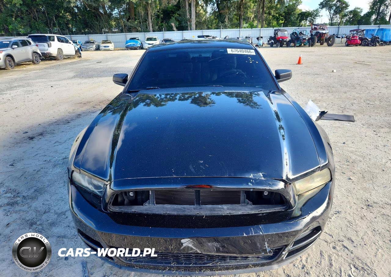 2014 Ford Mustang VIN:1ZVBP8AM0E5333519 - 5