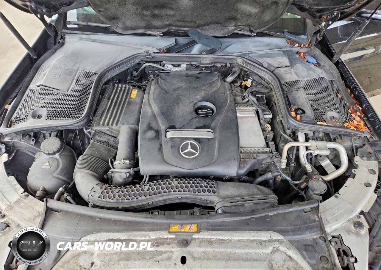 2017 Mercedes-Benz C 300 VIN:55SWF4JB0HU214353 - 11