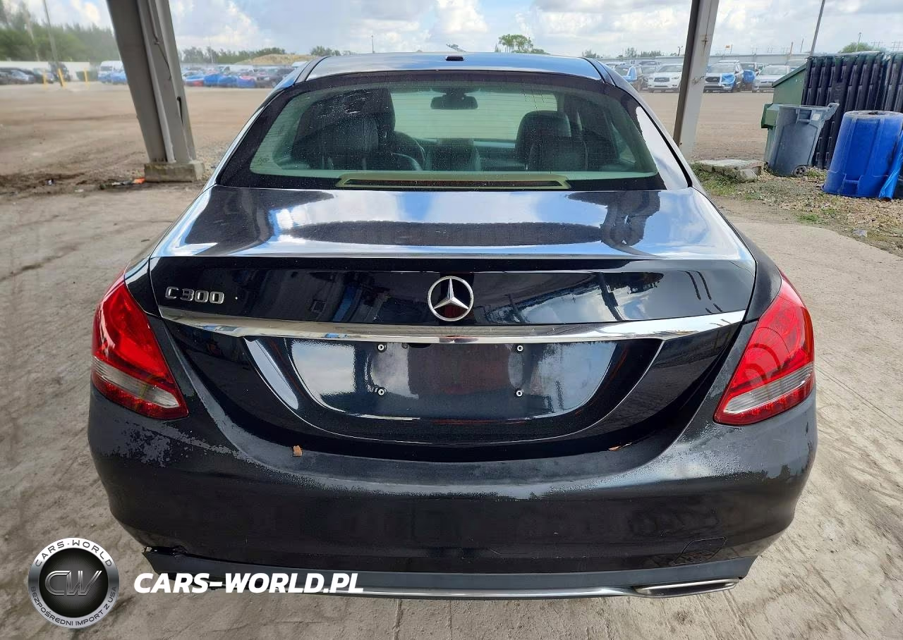 2017 Mercedes-Benz C 300 VIN:55SWF4JB0HU214353 - 6
