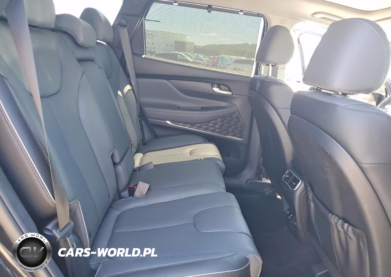 2023 Hyundai Santa Fe Limited VIN:5NMS44AL0PH513997 - 11