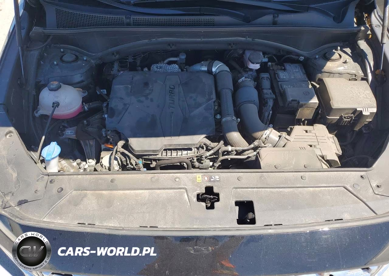 2023 Hyundai Santa Fe Limited VIN:5NMS44AL0PH513997 - 12