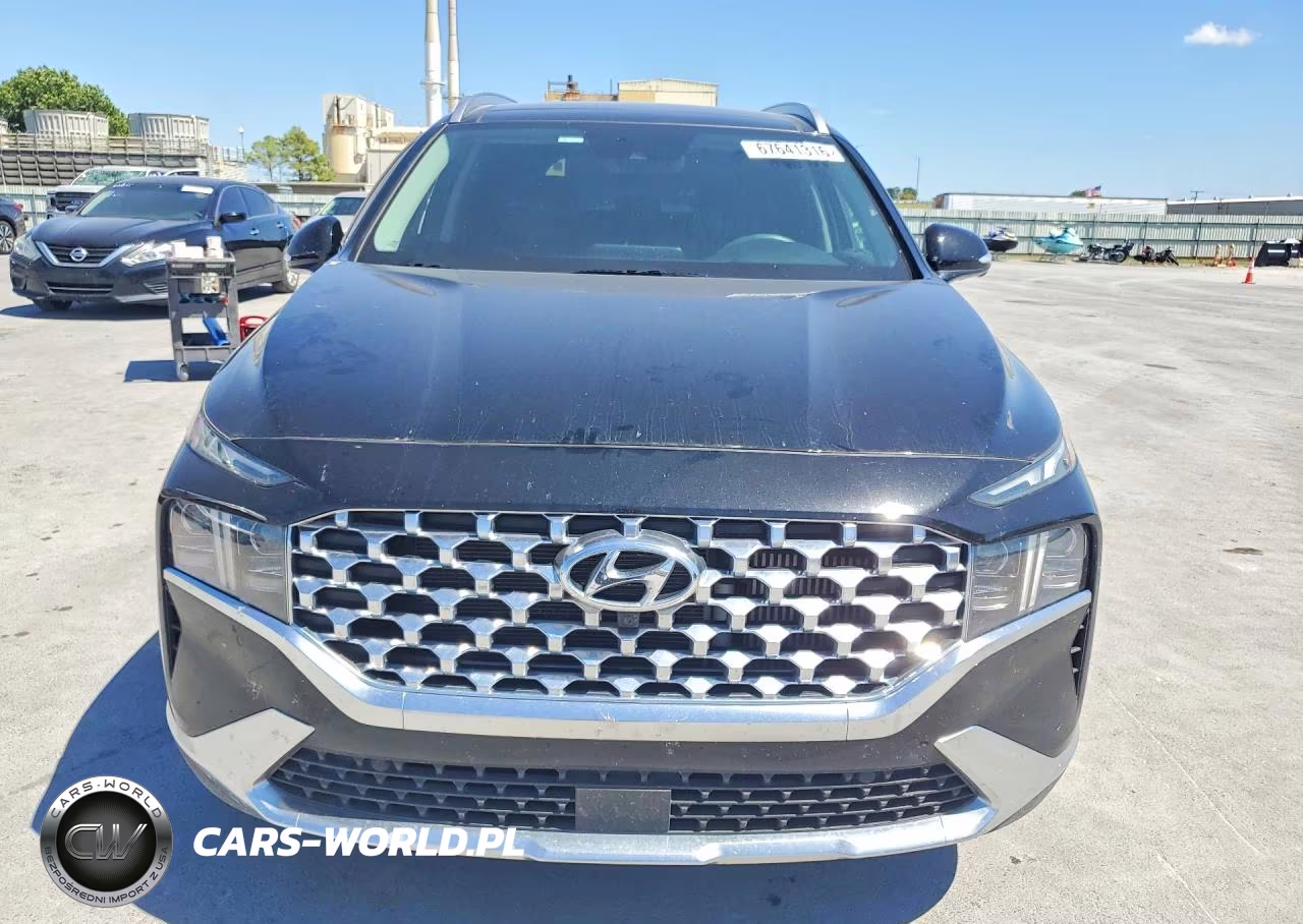 2023 Hyundai Santa Fe Limited VIN:5NMS44AL0PH513997 - 5