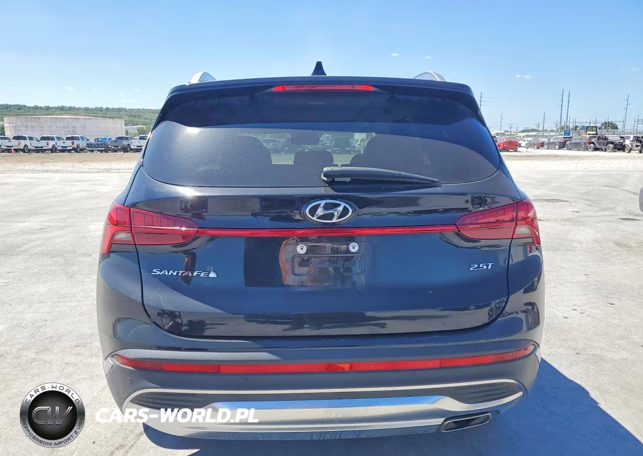 2023 Hyundai Santa Fe Limited VIN:5NMS44AL0PH513997 - 6