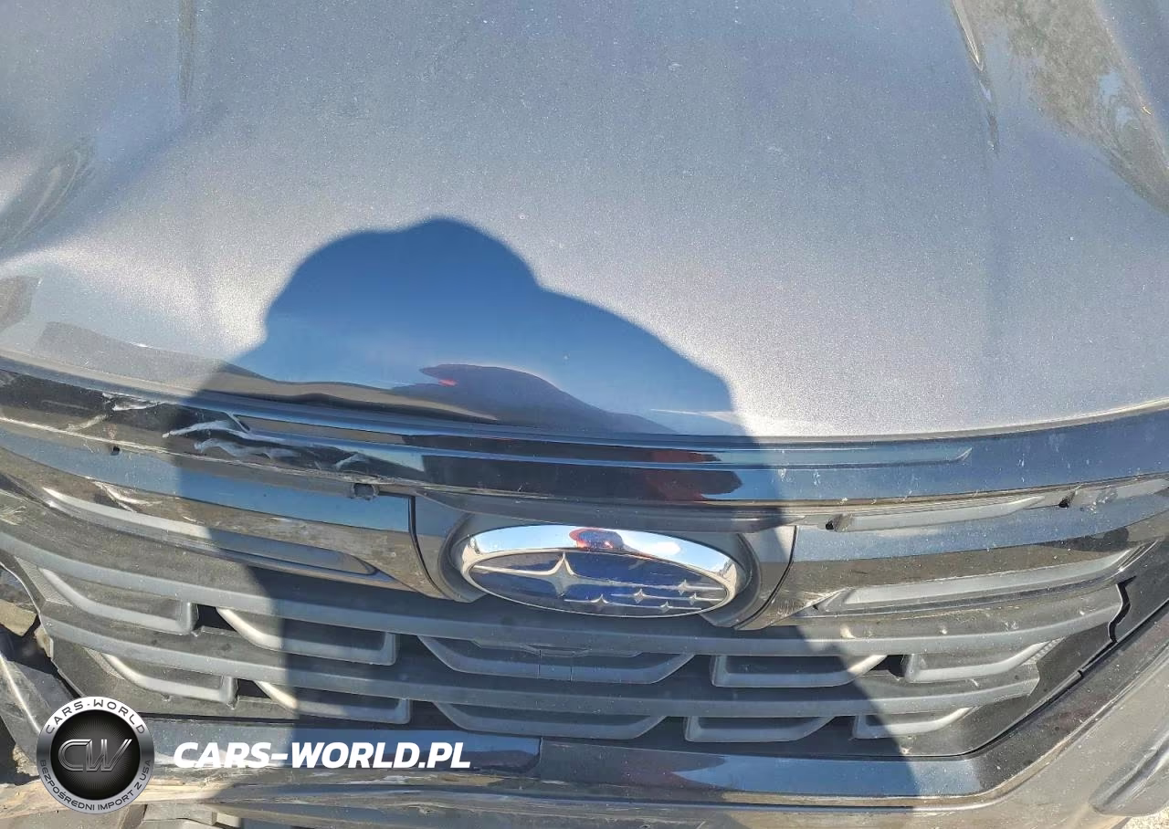 2023 Subaru Forester Sport VIN:JF2SKAJC0PH493287 - 12