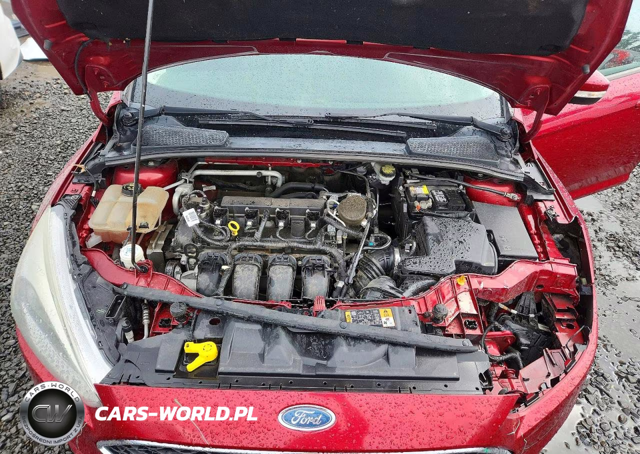 2015 Ford Focus Se VIN:1FADP3F2XFL369713 - 11
