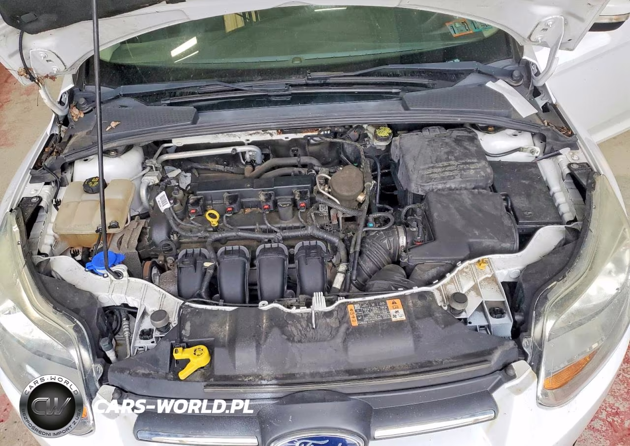 2014 Ford Focus Se VIN:1FADP3F2XEL388776 - 11