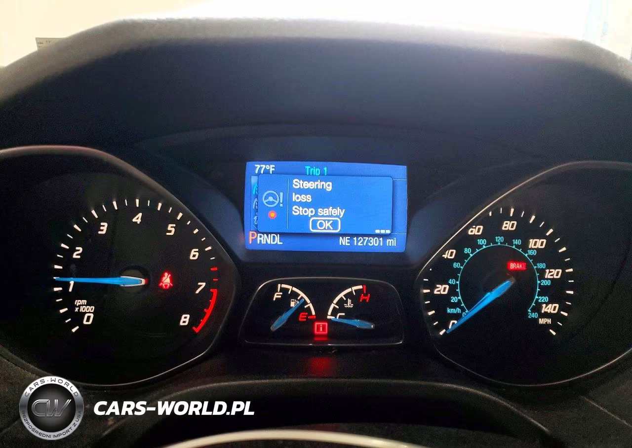 2014 Ford Focus Se VIN:1FADP3F2XEL388776 - 9
