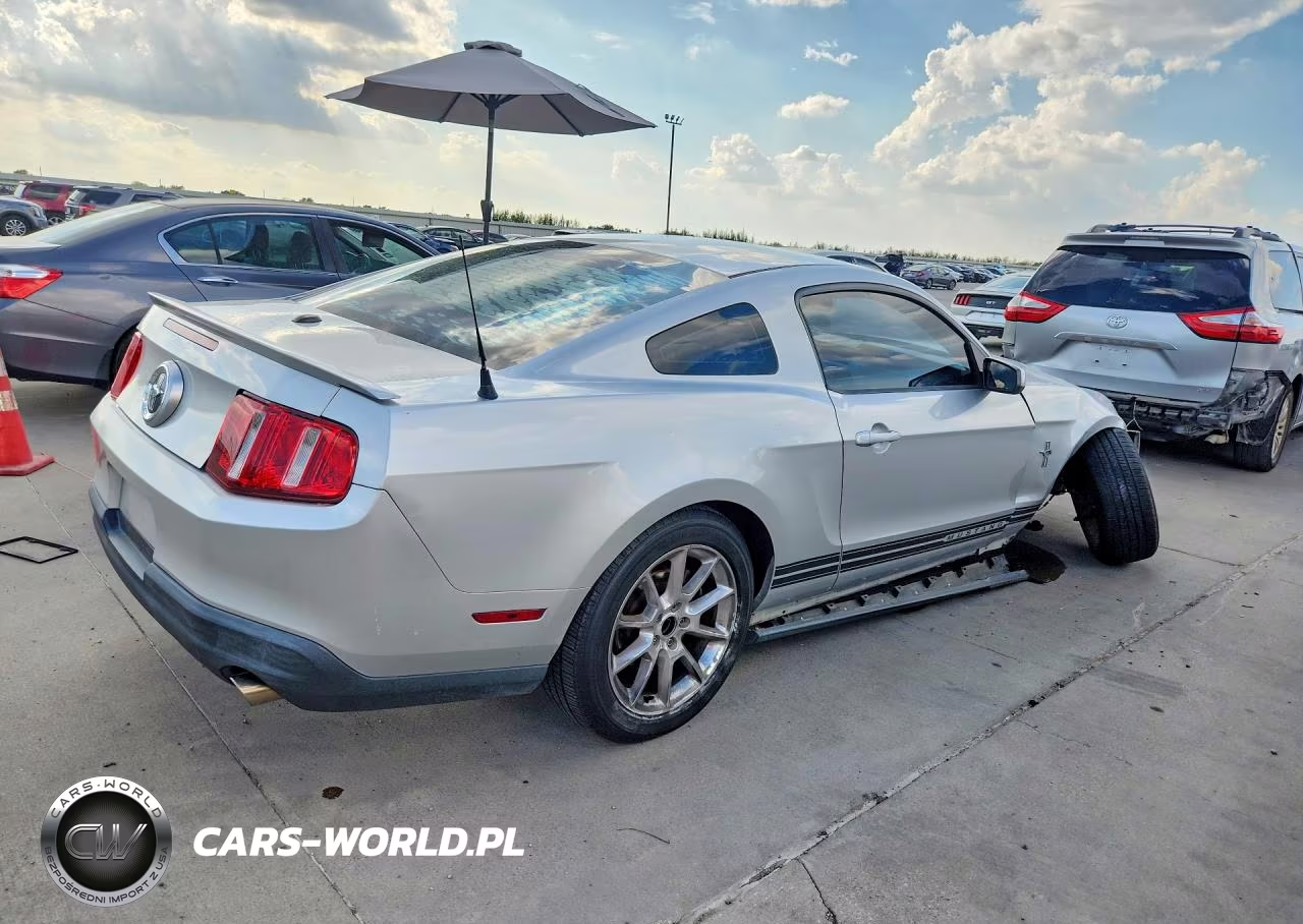2010 Ford Mustang VIN:1ZVBP8AN6A5136101 - 3