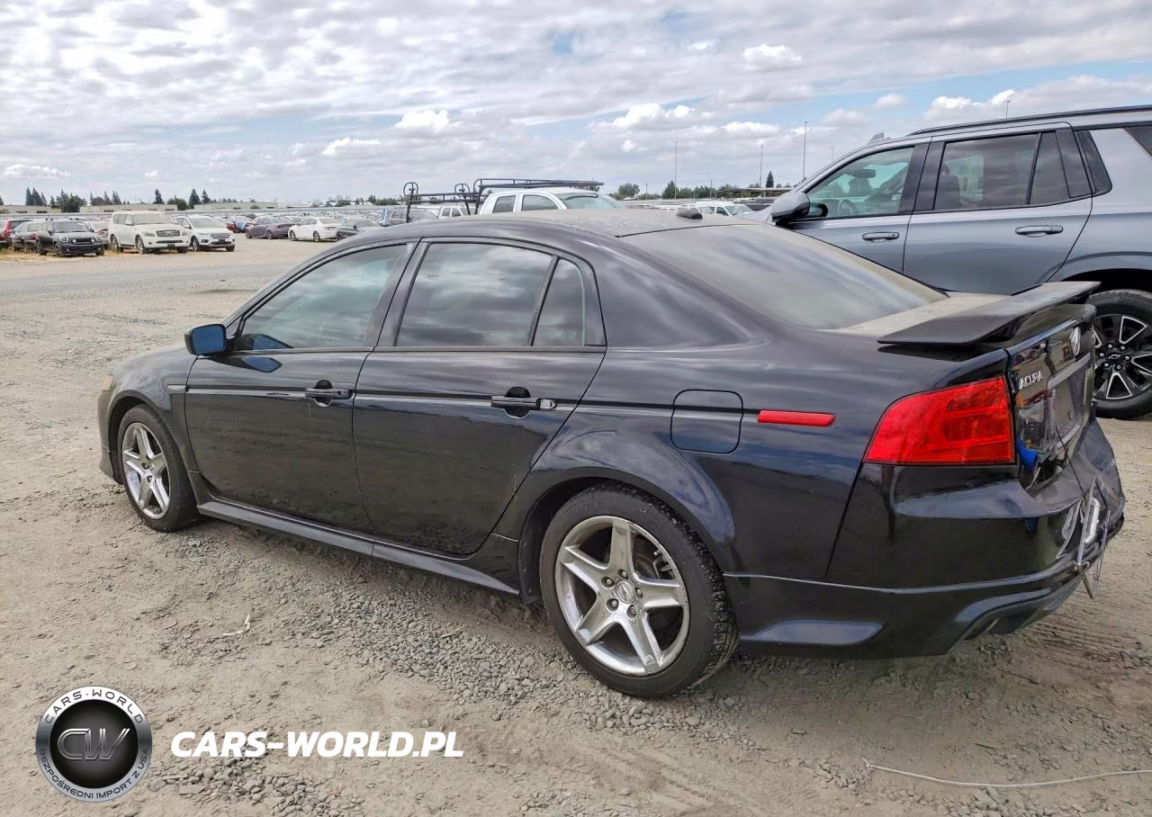 2006 Acura 3.2Tl VIN:19UUA66276A060744 - 2