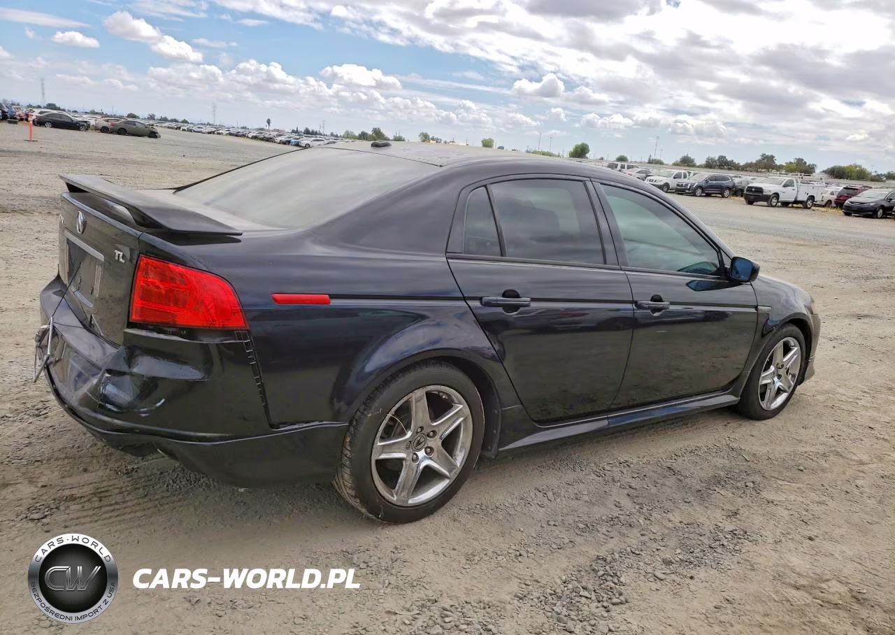 2006 Acura 3.2Tl VIN:19UUA66276A060744 - 3
