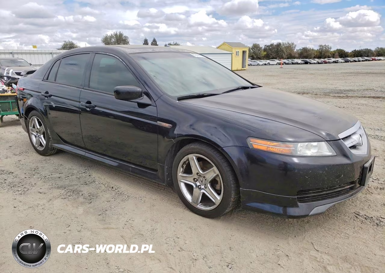 2006 Acura 3.2Tl VIN:19UUA66276A060744 - 4
