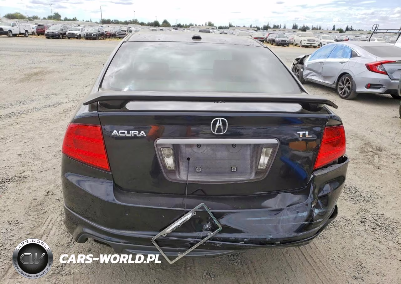 2006 Acura 3.2Tl VIN:19UUA66276A060744 - 6