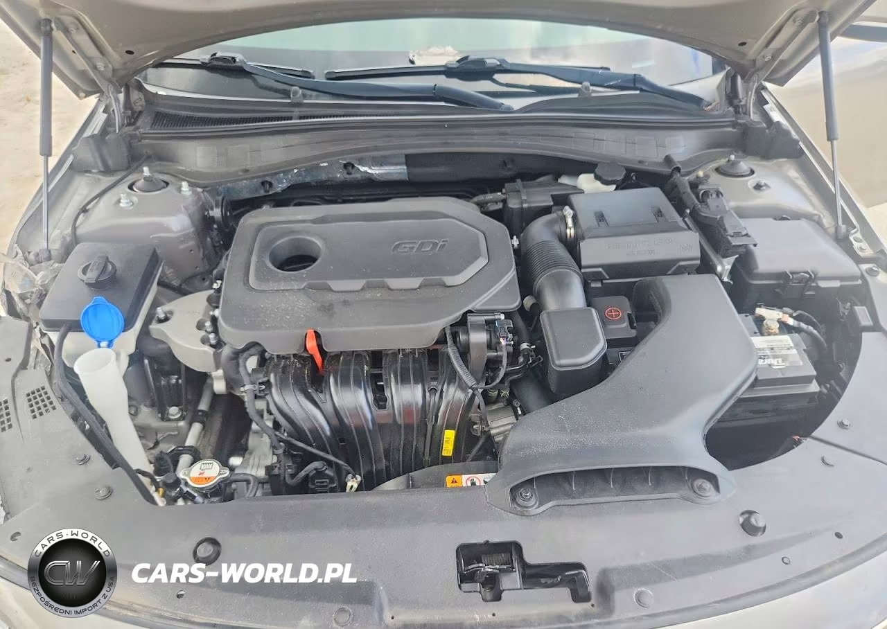 KIA OPTIMA VIN:5XXGT4L32JG251217 - 11