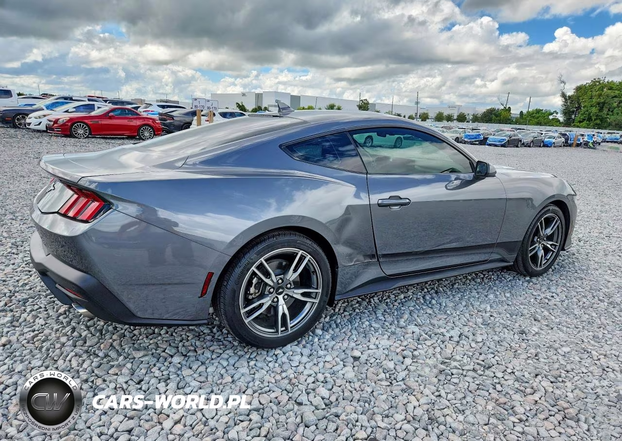 2025 Ford Mustang VIN:1FA6P8TH8S5126978 - 3