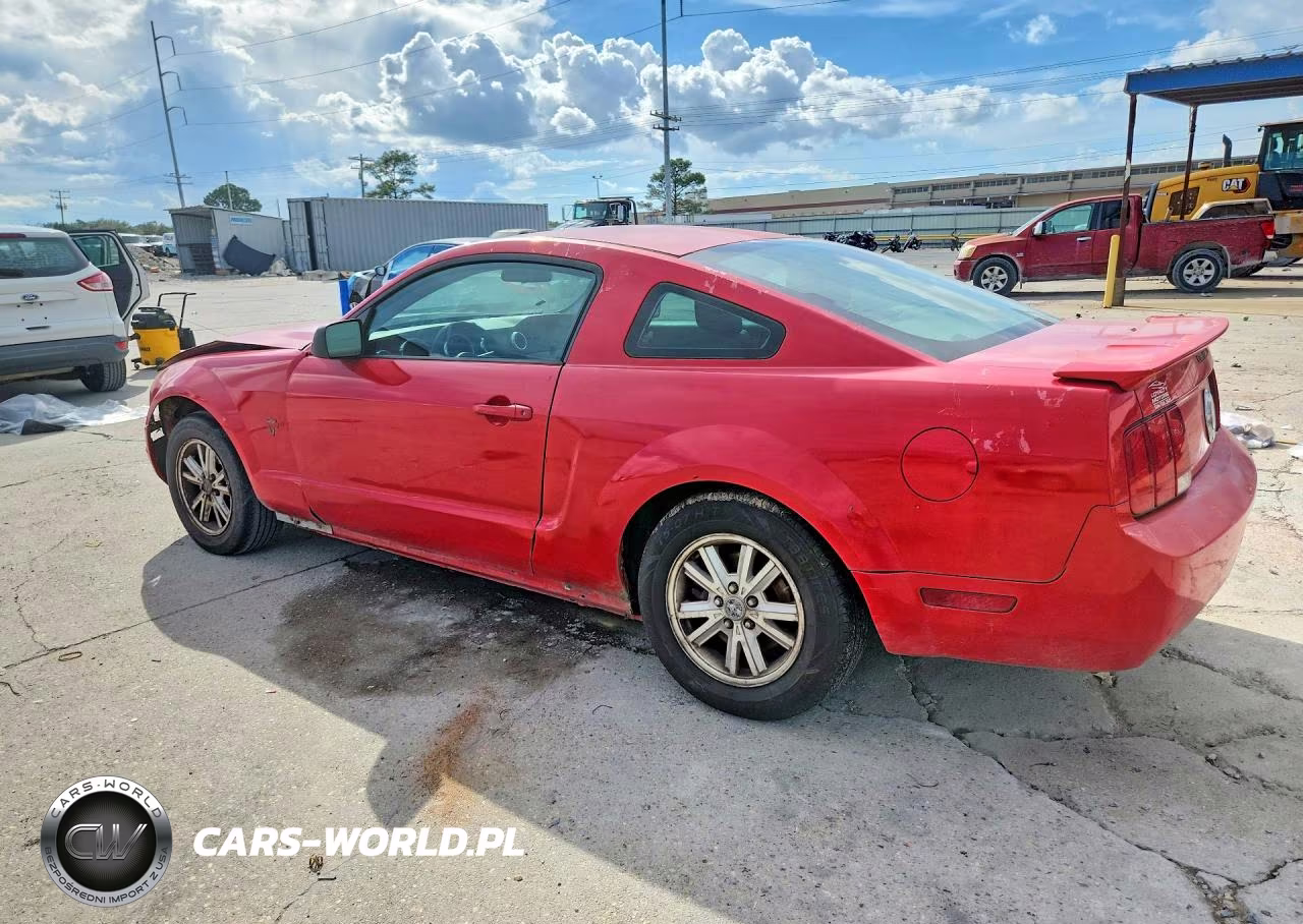 2009 Ford Mustang VIN:1ZVHT80N495133166 - 2