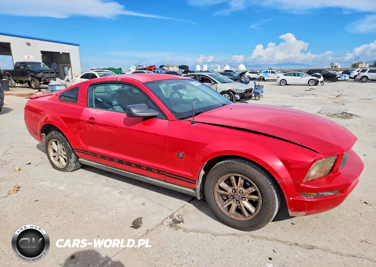 2009 Ford Mustang VIN:1ZVHT80N495133166 - 4