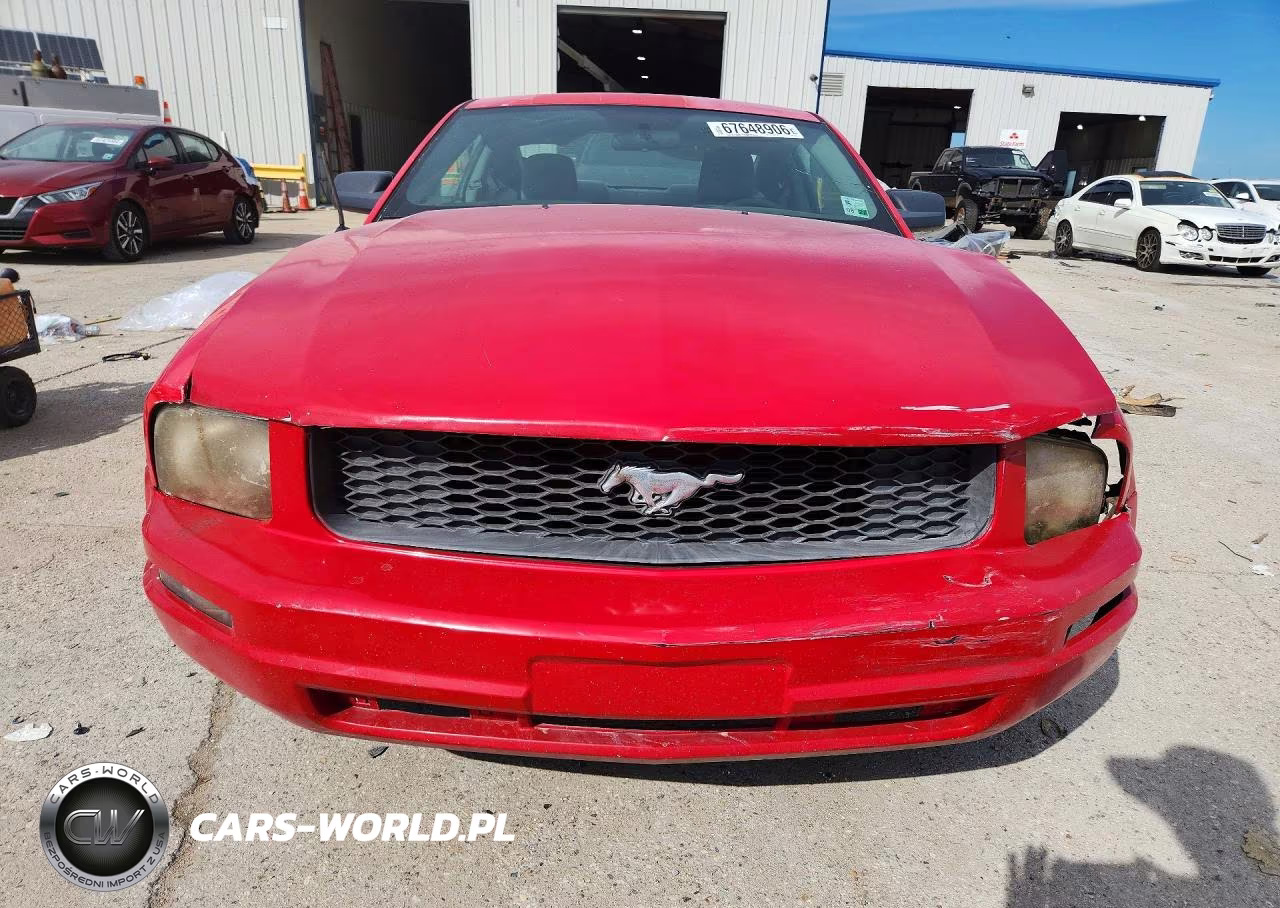 2009 Ford Mustang VIN:1ZVHT80N495133166 - 5