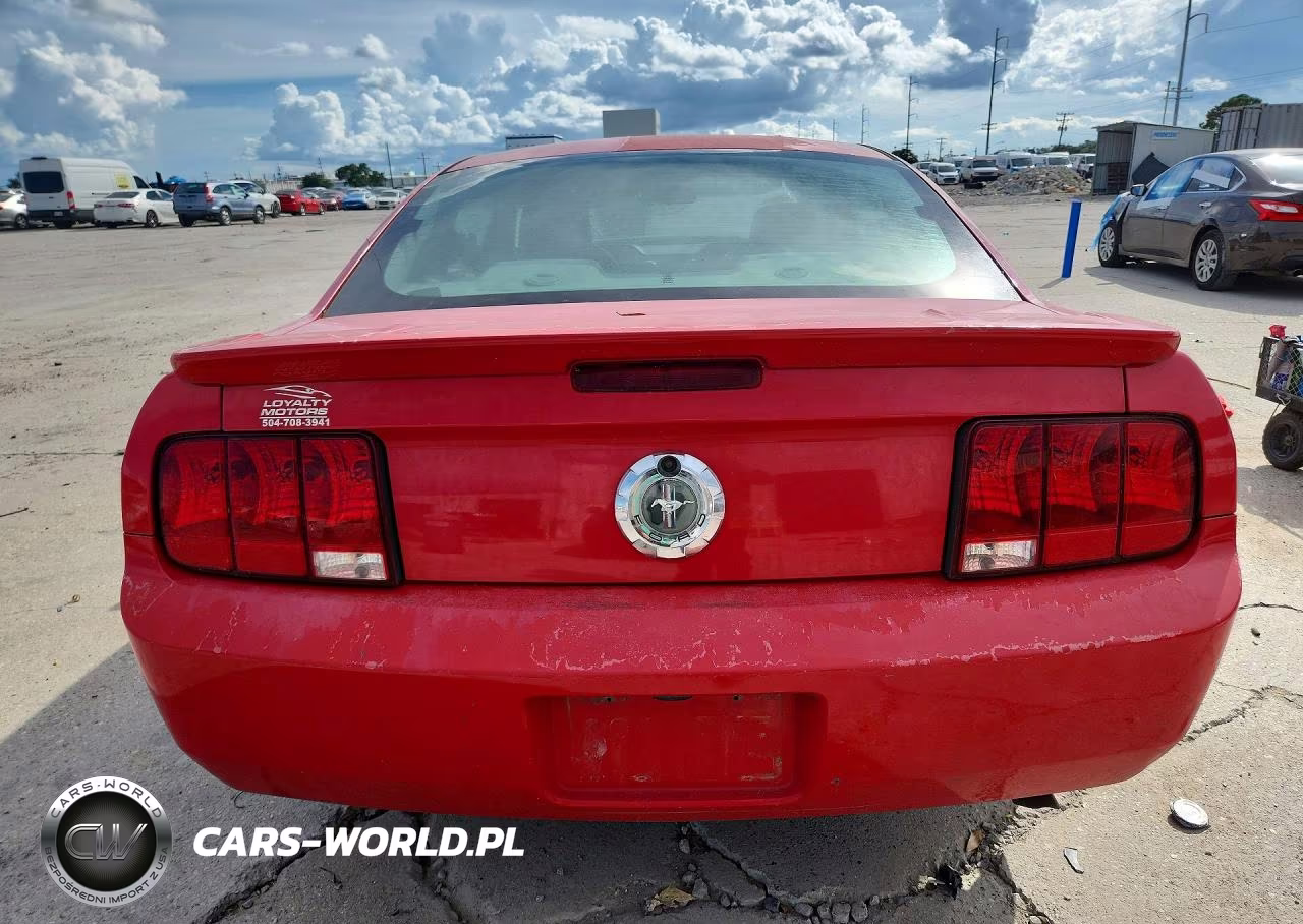 2009 Ford Mustang VIN:1ZVHT80N495133166 - 6