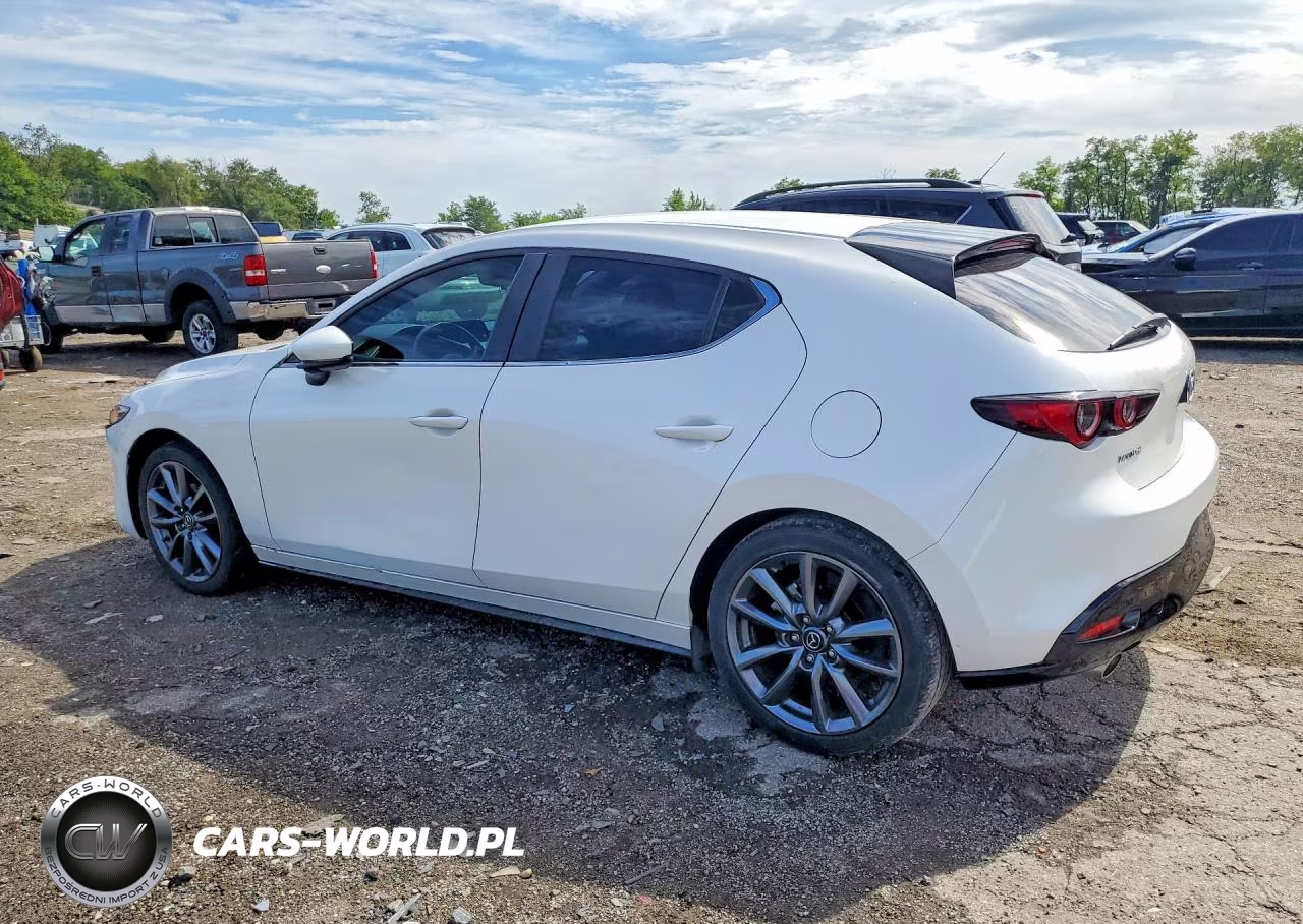 MAZDA MAZDA3 VIN:JM1BPAKL3N1512256 - 2