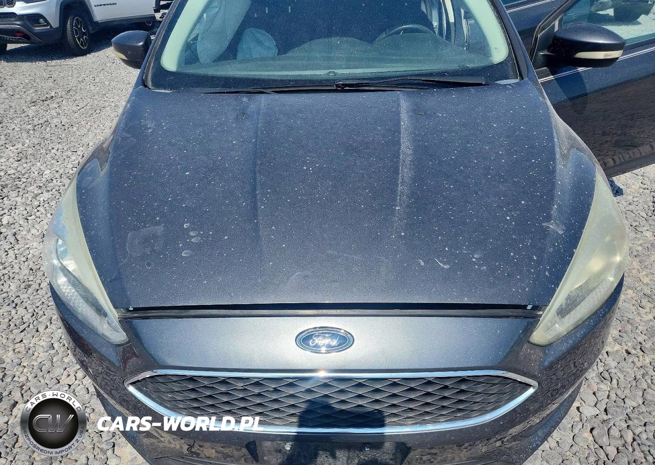 2016 Ford Focus Se VIN:1FADP3F26GL237761 - 11