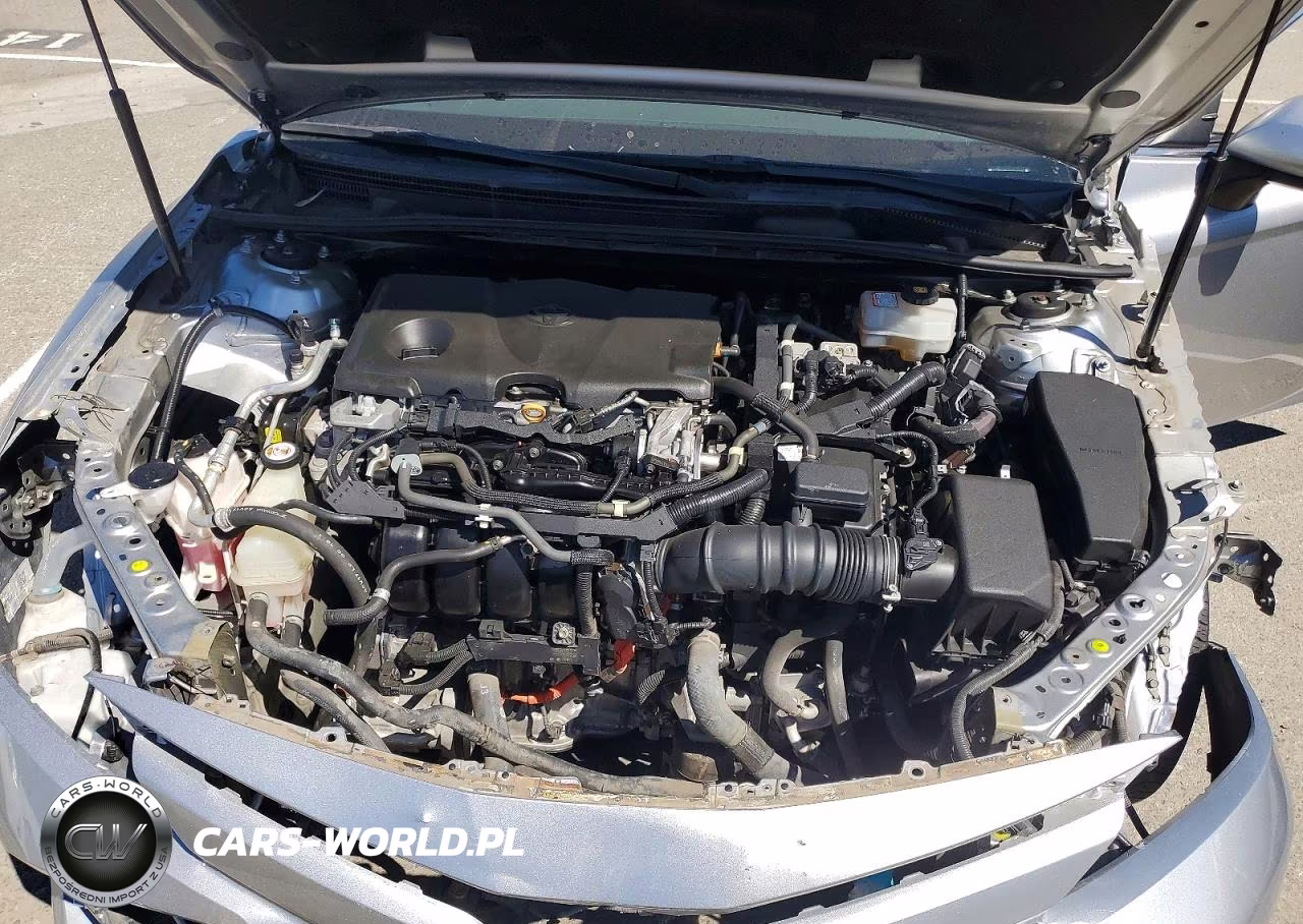 2019 Toyota Camry Le VIN:4T1B31HK8KU516836 - 11