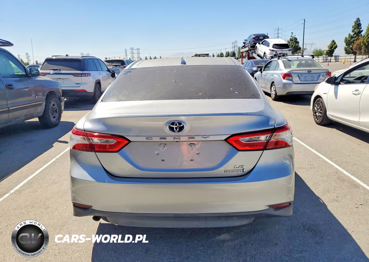 2019 Toyota Camry Le VIN:4T1B31HK8KU516836 - 6