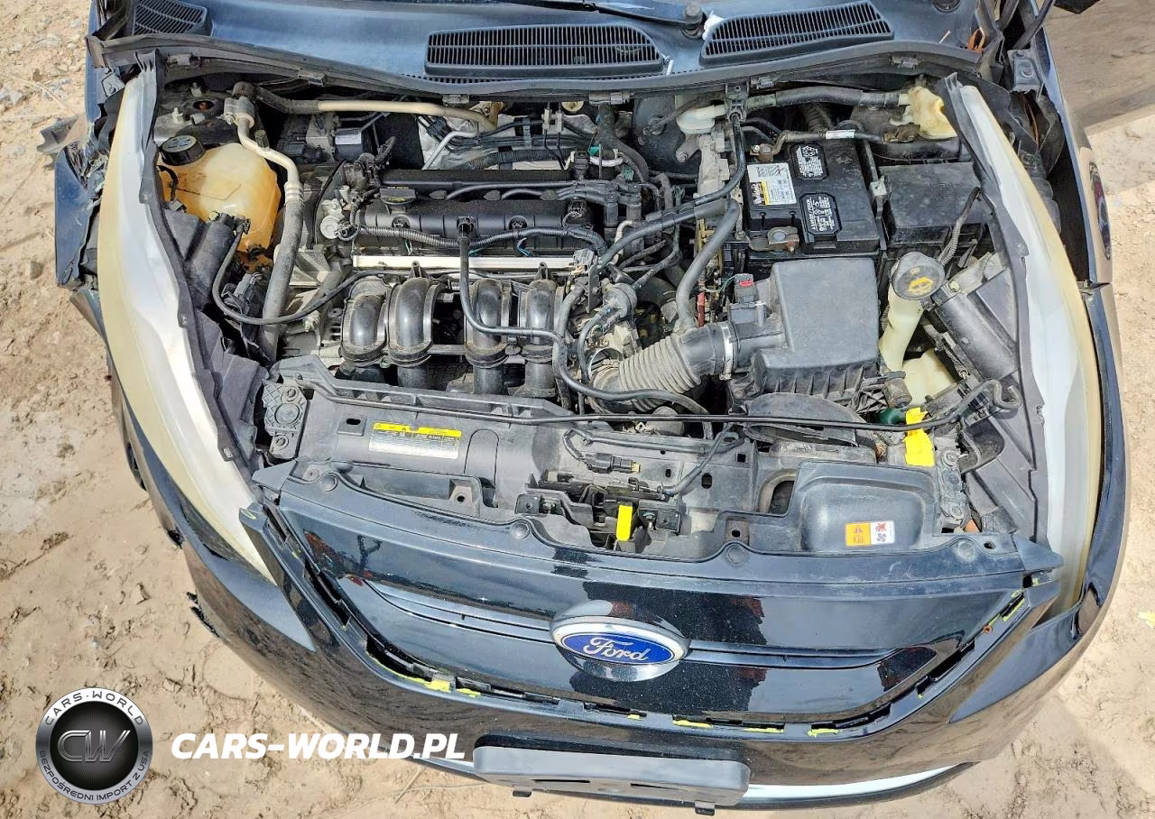 2013 Ford Fiesta Se VIN:3FADP4EJ5DM123310 - 11