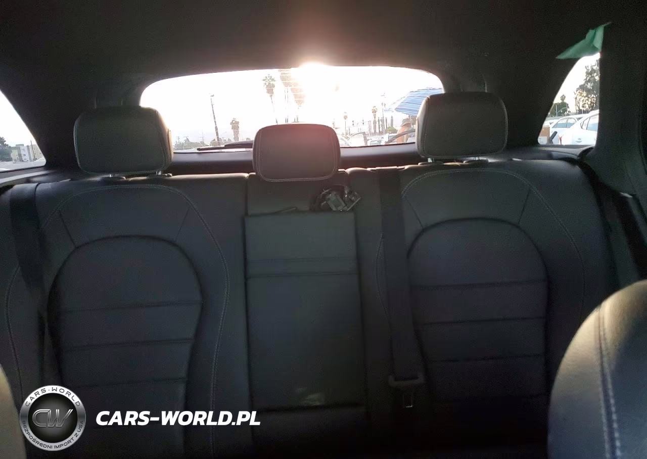 2020 Mercedes-Benz Glc 300 VIN:W1N0G8DBXLF761179 - 10