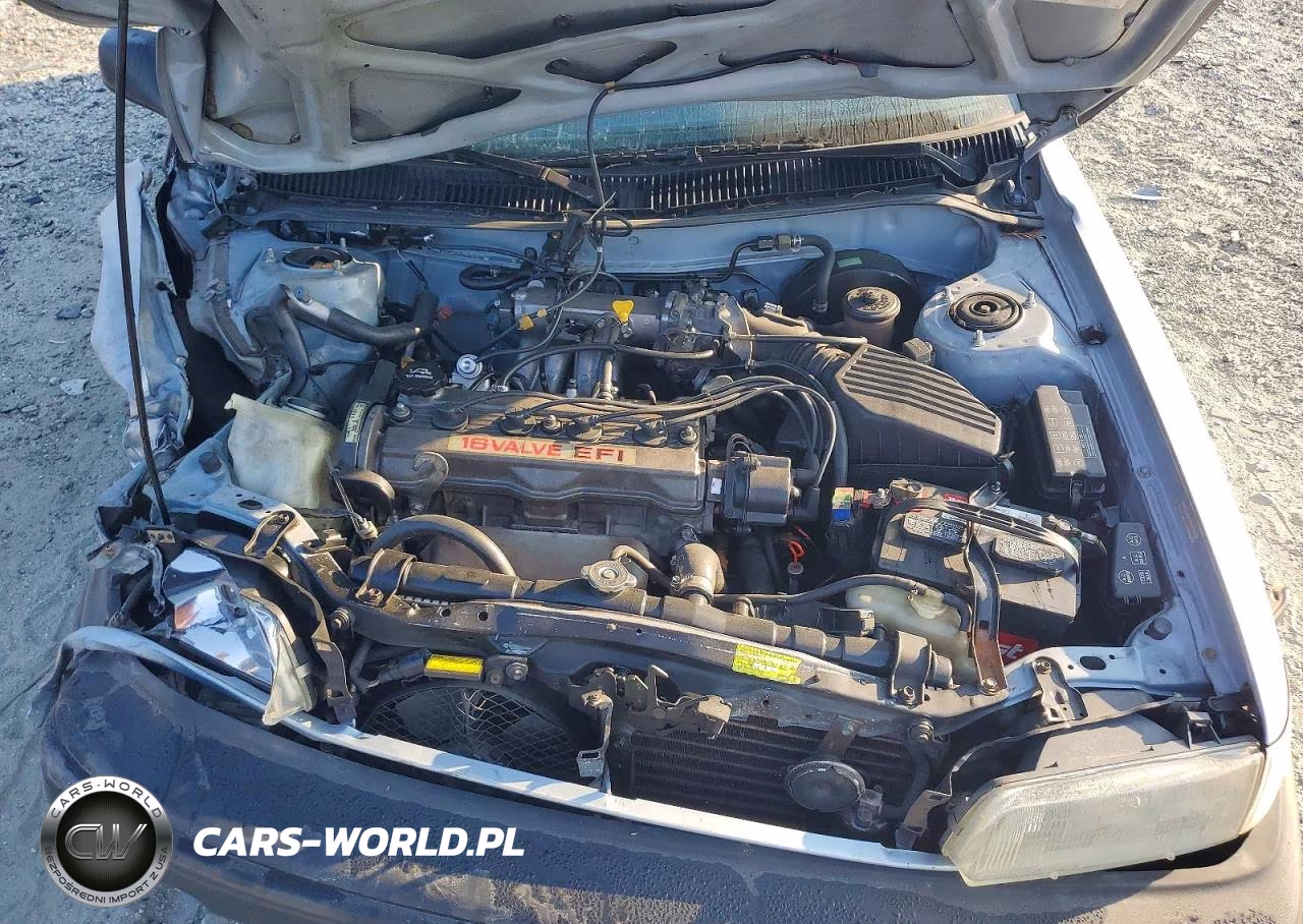 1991 Toyota Corolla Deluxe VIN:1NXAE94A3MZ174278 - 11