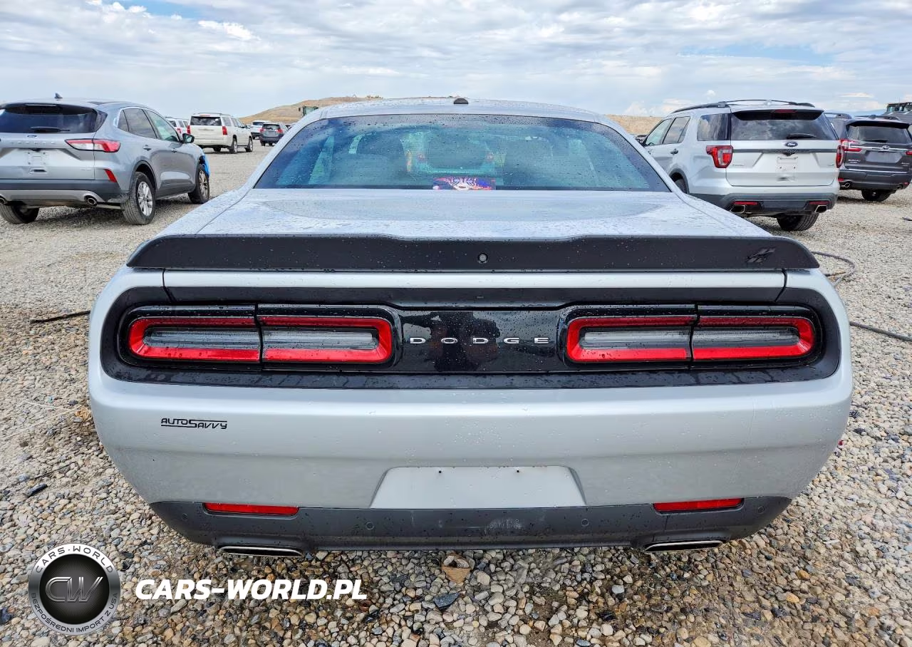 2019 Dodge Challenger Gt Awd VIN:2C3CDZKG3KH719794 - 6